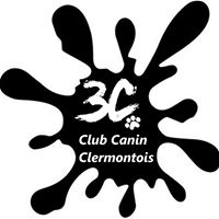 3c